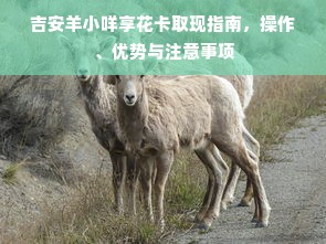 吉安羊小咩享花卡取现指南，操作、优势与注意事项