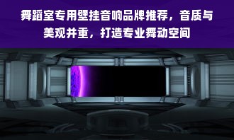 舞蹈室专用壁挂音响品牌推荐，音质与美观并重，打造专业舞动空间