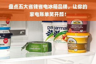盘点五大省钱省电冰箱品牌，让你的家电账单笑开颜！