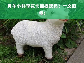 月羊小咩享花卡能提现吗？一文搞懂！