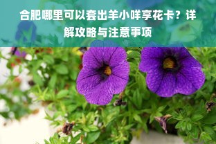 合肥哪里可以套出羊小咩享花卡？详解攻略与注意事项
