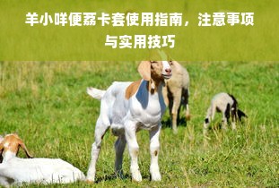 羊小咩便荔卡套使用指南，注意事项与实用技巧