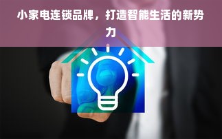 小家电连锁品牌，打造智能生活的新势力