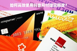 如何高效使用抖音月付提现额度？