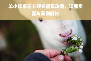 羊小咩享花卡领券提现攻略，详细步骤与案例解析