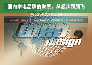 国内家电品牌的发展，从起步到腾飞