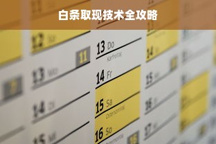 白条取现技术全攻略