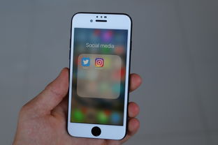 iPhone射击游戏排行榜，精选热门游戏一览