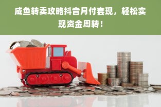 咸鱼转卖攻略抖音月付套现，轻松实现资金周转！
