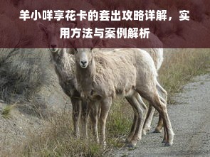 羊小咩享花卡的套出攻略详解，实用方法与案例解析