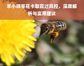 羊小咩享花卡取现过风控，深度解析与实用建议