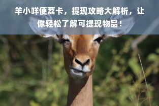 羊小咩便荔卡，提现攻略大解析，让你轻松了解可提现物品！