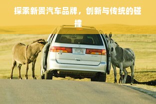 探索新贵汽车品牌，创新与传统的碰撞