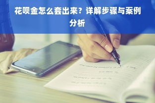 花呗金怎么套出来？详解步骤与案例分析