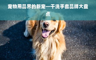 宠物用品界的新宠—干洗手套品牌大盘点
