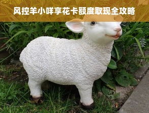 风控羊小咩享花卡额度取现全攻略