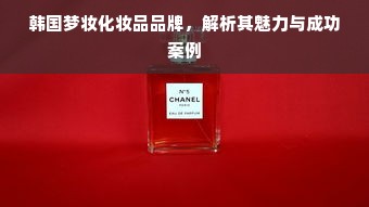 韩国梦妆化妆品品牌，解析其魅力与成功案例
