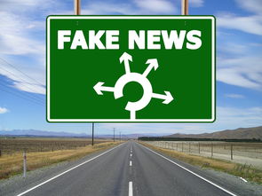 哈尔滨车主花呗套出来的真相揭秘，如何安全、合法地利用花呗？