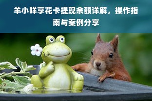 羊小咩享花卡提现余额详解，操作指南与案例分享