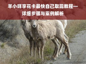羊小咩享花卡最快自己取现教程—详细步骤与案例解析