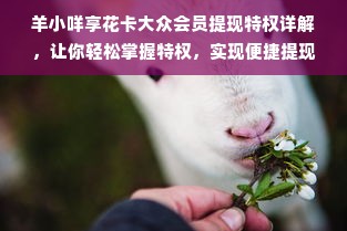 羊小咩享花卡大众会员提现特权详解，让你轻松掌握特权，实现便捷提现