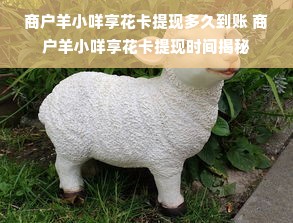商户羊小咩享花卡提现多久到账 商户羊小咩享花卡提现时间揭秘