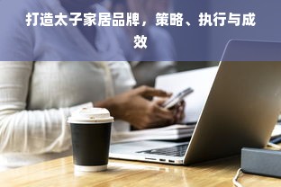 打造太子家居品牌，策略、执行与成效