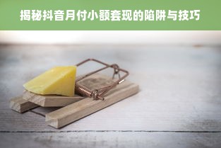 揭秘抖音月付小额套现的陷阱与技巧