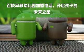 召陵早教幼儿园加盟电话，开启孩子的未来之星