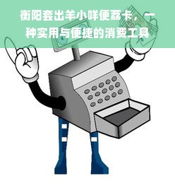 衡阳套出羊小咩便荔卡，一种实用与便捷的消费工具