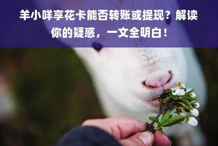 羊小咩享花卡能否转账或提现？解读你的疑惑，一文全明白！