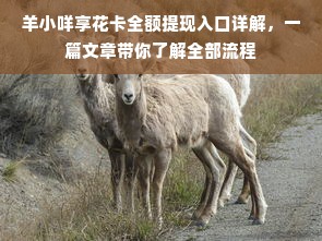 羊小咩享花卡全额提现入口详解，一篇文章带你了解全部流程
