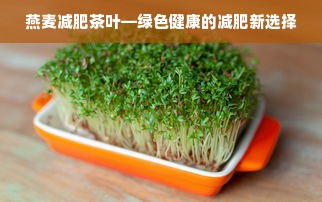 燕麦减肥茶叶—绿色健康的减肥新选择