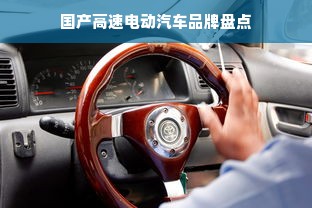 国产高速电动汽车品牌盘点