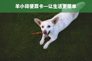 羊小咩便荔卡—让生活更简单