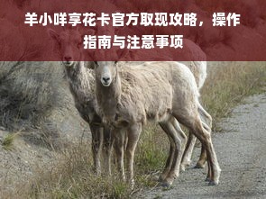 羊小咩享花卡官方取现攻略，操作指南与注意事项