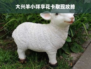 大兴羊小咩享花卡取现攻略