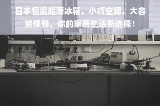 日本恒温超薄冰箱，小巧空间，大容量保鲜，你的家居生活新选择！