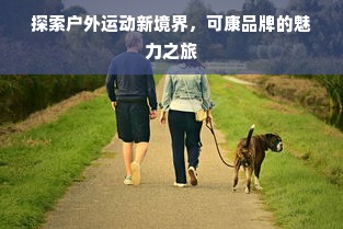 京东白条额度如何套出来商家，有京东白条额度但是支付不了大额