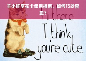 羊小咩享花卡使用指南，如何巧妙套现？