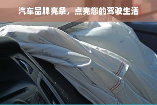 汽车品牌亮条，点亮您的驾驶生活