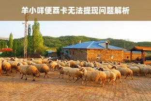 羊小咩便荔卡无法提现问题解析