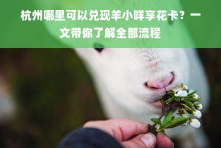 杭州哪里可以兑现羊小咩享花卡？一文带你了解全部流程