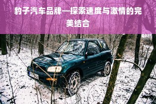 豹子汽车品牌—探索速度与激情的完美结合