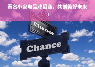 著名小家电品牌招商，共创美好未来！