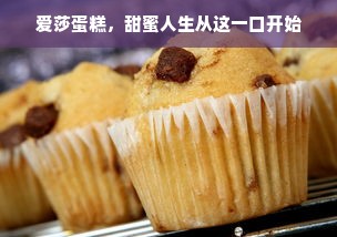 爱莎蛋糕，甜蜜人生从这一口开始