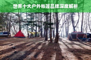 世界十大户外帐篷品牌深度解析