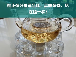 赞正茶叶推荐品牌，品味茶香，尽在这一杯！