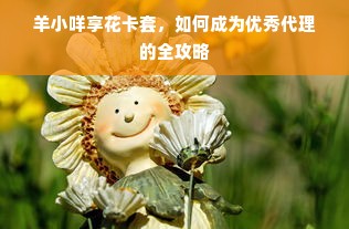羊小咩享花卡套，如何成为优秀代理的全攻略