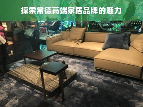 探索常德高端家居品牌的魅力